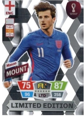 WORLD CUP QATAR 2022 Limited MOUNT