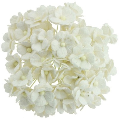 Kwiaty papierowe SWEETHEARTY białe - 50szt