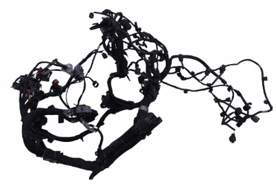 Електропроводка двигуна renault espace v 1.6dci фото №1