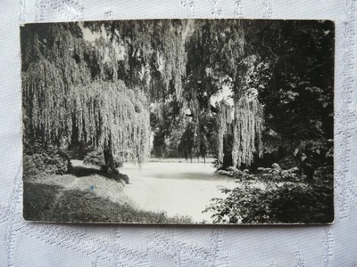 ŻYRARDÓW PARK MIEJSKI