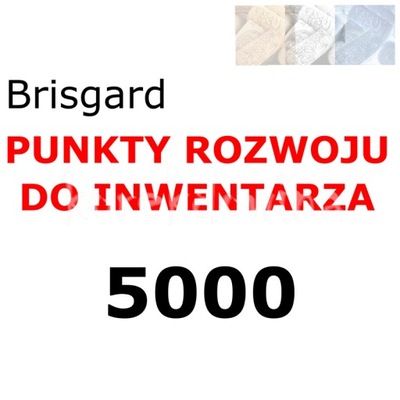 B PACZKI 5000 PR Punkty Rozwoju FOE Brisgard FOE FORGE OF EMPIRES