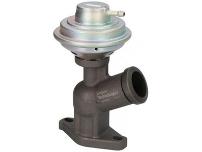 DELPHI EG10423-12B1 VOŽTUVAS EGR CITROEN C4 2.0HDI 07- 