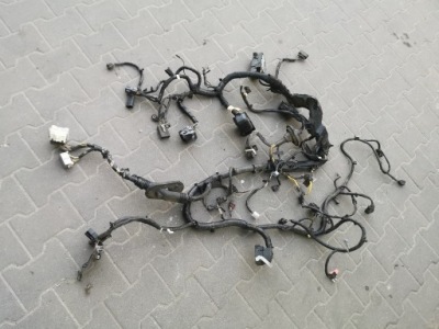 Ford fusion usa 2.0 eco. электропроводка отсек двигателя фото №1