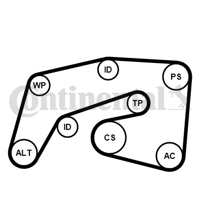 JUEGO CORREA W/KLINOWEGO 7PK2035K1/CON  