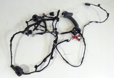 2015+ mustang жгут электропроводка дверь europa правая фото №1