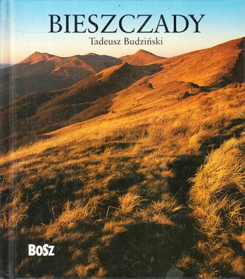 BIESZCZADY * TADEUSZ BUDZIŃSKI mini album