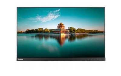 MONITOR Lenovo ThinkVision T24i-10 IPS