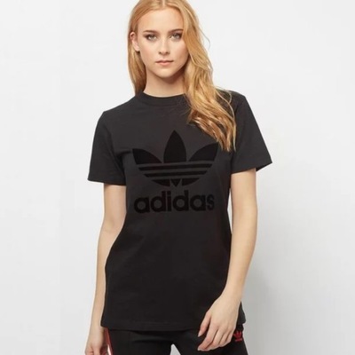 Koszulka Adidas SS TREFOIL TEE BOB DU9856