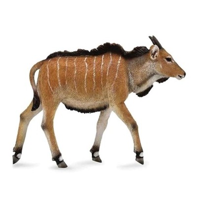 ANTYLOPA ELAND CIELĘ