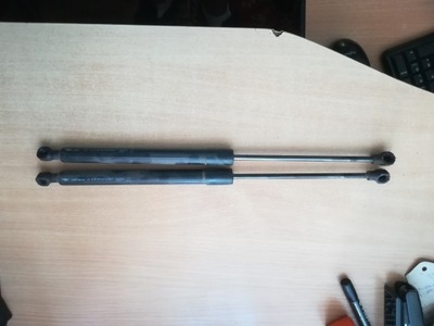 Амортизатори амортизатори кришки задня renault zoe фото №1