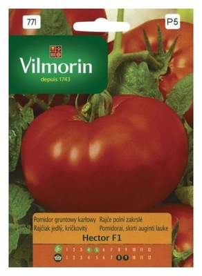 Pomidor Hector F1 0,1g Vilmorin