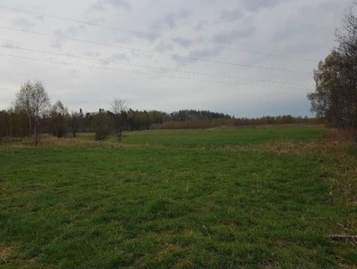 Działka, Borcz, Somonino (gm.), 3560 m²