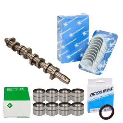 Набор ремонтный вала распределительного вала 1.9 tdi комплект вал + вкладыши fai ina фото №1