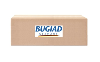 ПАТРУБОК ИНТЕРКУЛЕРА BUGIAD 81815