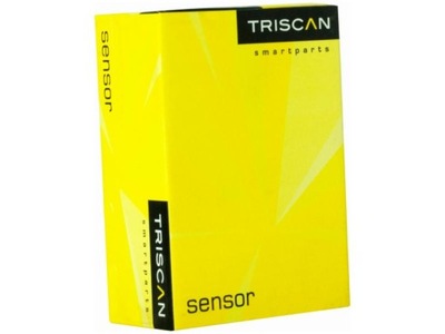 Ресора задня triscan 8765 16048 фото №1