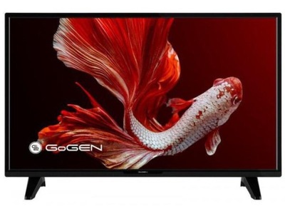 TV GOGEN 24" TVH24P452T-uszkodzone