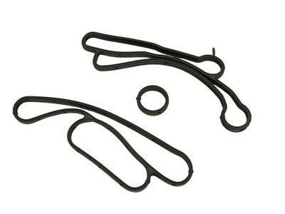 Fast ft48938 прокладка, радиатор масляная фото №1