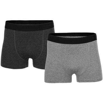 BIELIZNA BOKSERKI 2-PACK MĘSKIE 4F MAJTKI UBXSM027 XL