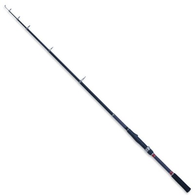 Robinson Carbonic Tele Carp 3,00m 40-90g