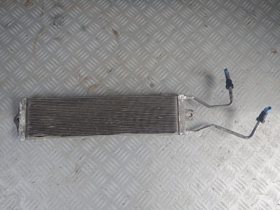 Skoda fabia i vrs rs tdi радіатор пального фото №1