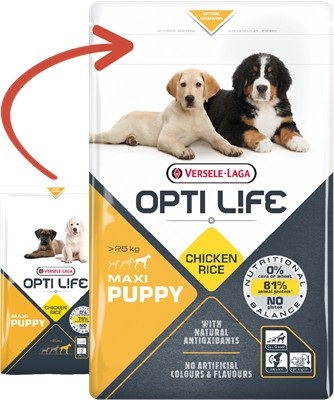 VERSELE-LAGA Opti Life Puppy Maxi 1kg