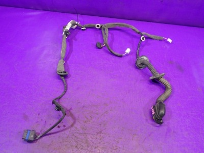 Scenic iii 3 джгут двері лівий задня 241275076r фото №1