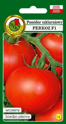 Pomidor szklarniowy Perkoz F1 1g