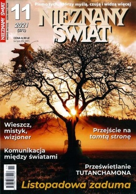 NIEZNANY ŚWIAT nr 11/2021