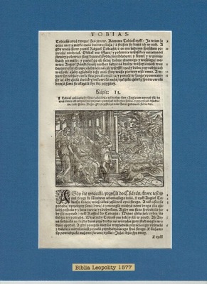 Biblia Leopolity 1577 - Drzeworyt, Passepartout