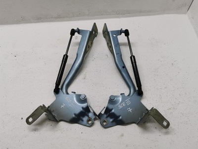 Петлі капот renault scenic iii 654010004r 08-16 фото №1