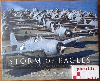 STORM of EAGLES. The Greatest Aviation Photo of WW2 - POLECAM!!