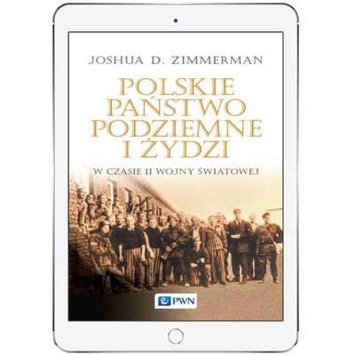 Polskie Państwo Podziemne i Żydzi w czasie II