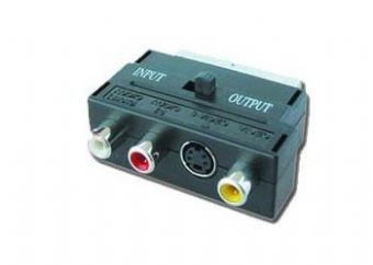 GEMBIRD Adapter EURO/SVHS-3RCA (CHINCH)