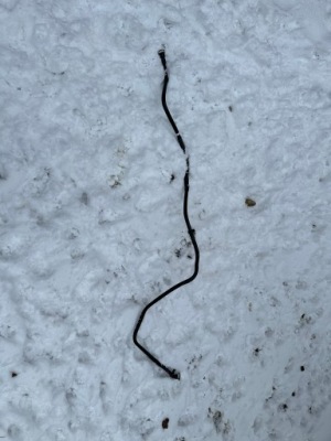 31432859 труба трубка odparowywacza volvo xc60 ii 2 фото №1