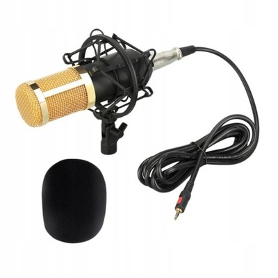 Mikrofon dynamiczny mikrofon pojemnościowy