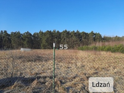 Działka, Ldzań, Dobroń (gm.), 7100 m²