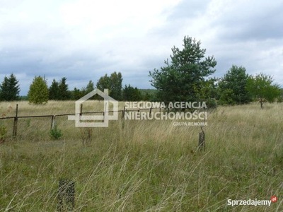 Działka, Liniewo, Liniewo (gm.), 7600 m²