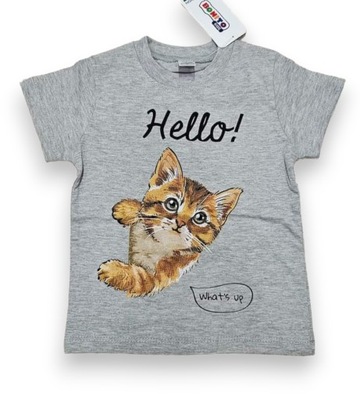 T-shirt koszulka Hello kotek szary 104
