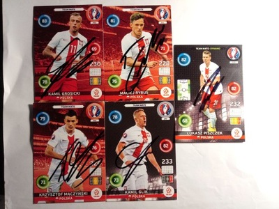 Karty panini autografy Polska Euro 2016