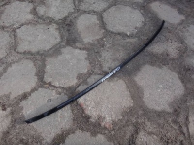 Права молдинг дахова дах bmw 1 e82 sapphire фото №1