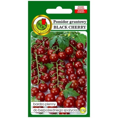 POMIDOR koktajlowy Black Cherry wysoki nasiona 0,5g PNOS