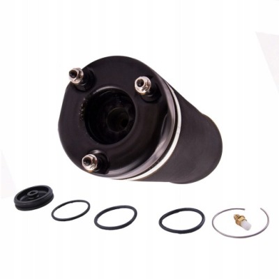 Подушка пневмоподушка амортизатор подвеска перед mercedes w251 a2513203013 фото №1