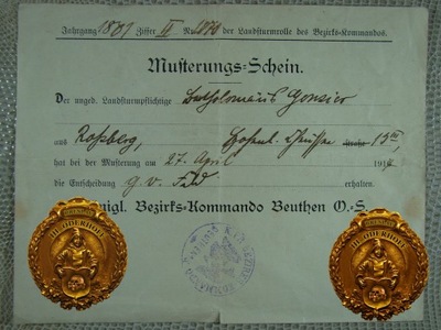 1917 Beuthen=Musterungs-Schein H7838