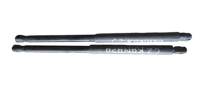 Амортизаторы крышки задняя багажника citroen c2 фото №1