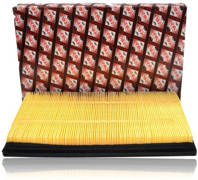 Ashika 20-02-253 фільтр повітря фото №1