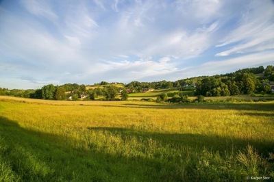 Działka, Siemiechów, 9000 m²