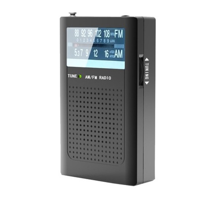 CYFROWE RADIO AM/MINI 2-PASMOWE STEREO