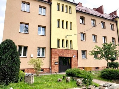 Mieszkanie, Malbork, Malborski (pow.), 42 m²
