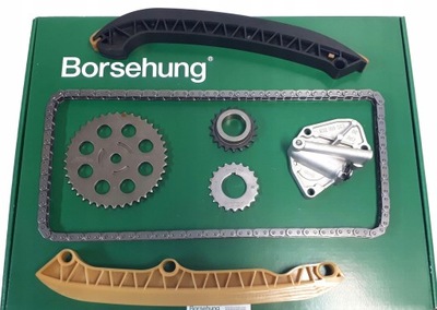 BORSEHUNG SET CHAIN VALVE CONTROL SYSTEM SKODA VW SEAT  