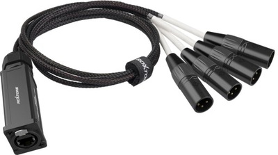 Konwerter adapter DMX męski na RJ45 żeński Roxtone